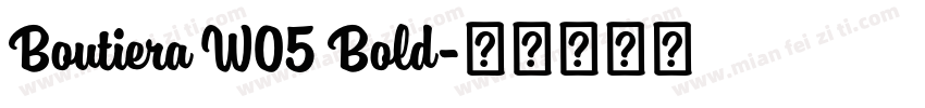 Boutiera W05 Bold字体转换